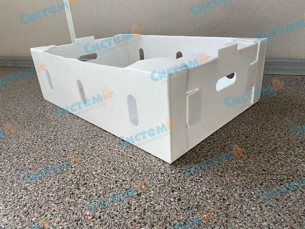 Производство ящиков из сотового полипропилена под заказ Производство ящиков из сотового полипропилена под заказ